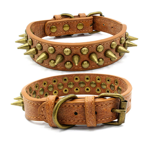 Bronze pointed rivet dog collar