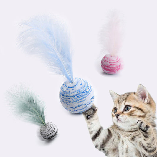 cat toy ball